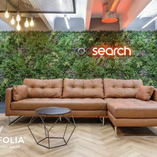 1_Roc-Search-2-1920w