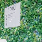 Innovative Uses of Artificial Green Walls in Business Settings