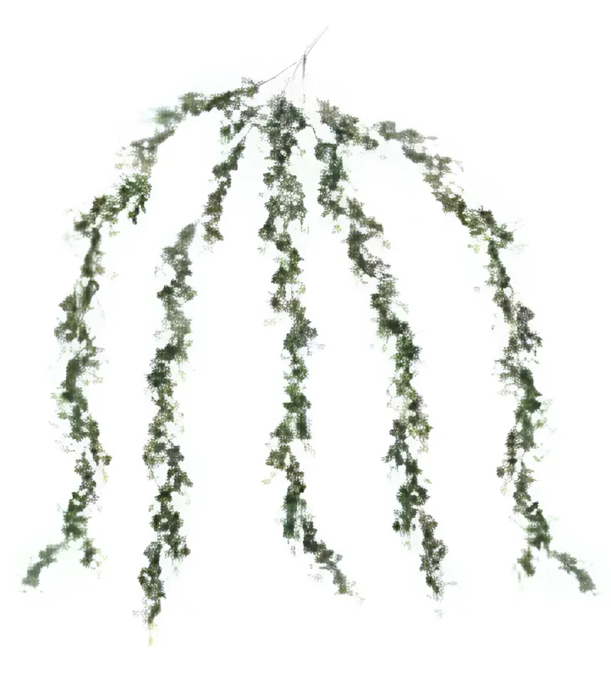 Extendable Trailing Foliage 1