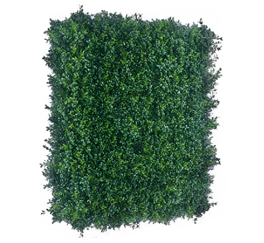 Luxury-Boxwood-Hedge-1_enhanced