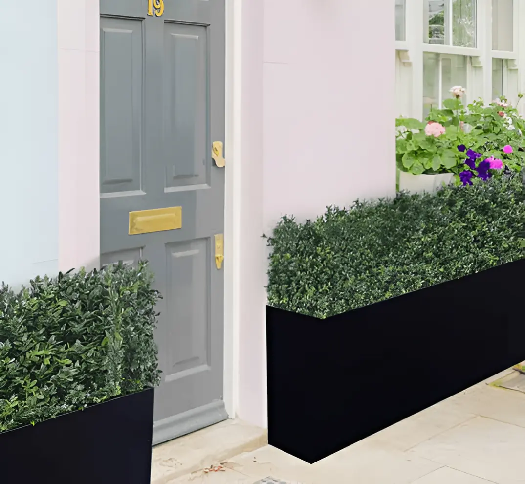 Luxury-Boxwood-Hedge-2_enhanced