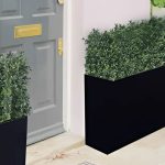 Elevate Your Space with the Luxury Boxwood Hedge: A Stylish & Low-Maintenance Solution