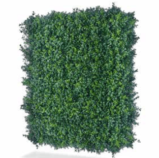 boxwood-flipped