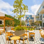 How Artificial Mediterranean Trees Redefine Open-Plan Offices