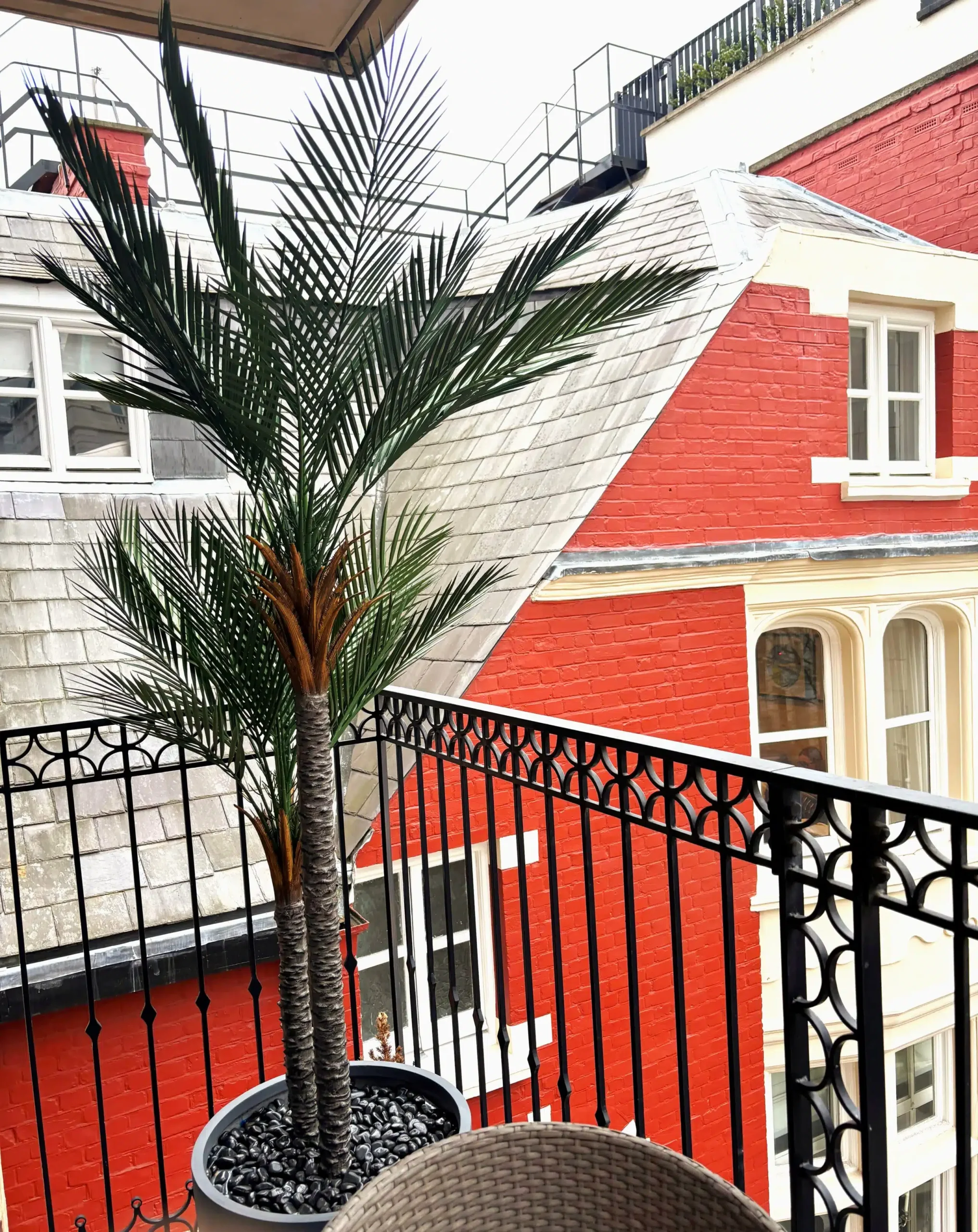 Palm-Tree-scaled.jpg
