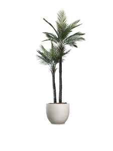 Palma Gemela Artificial Palm Tree