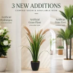 Fresh Greenery for a New Season: Meet Three New Additions